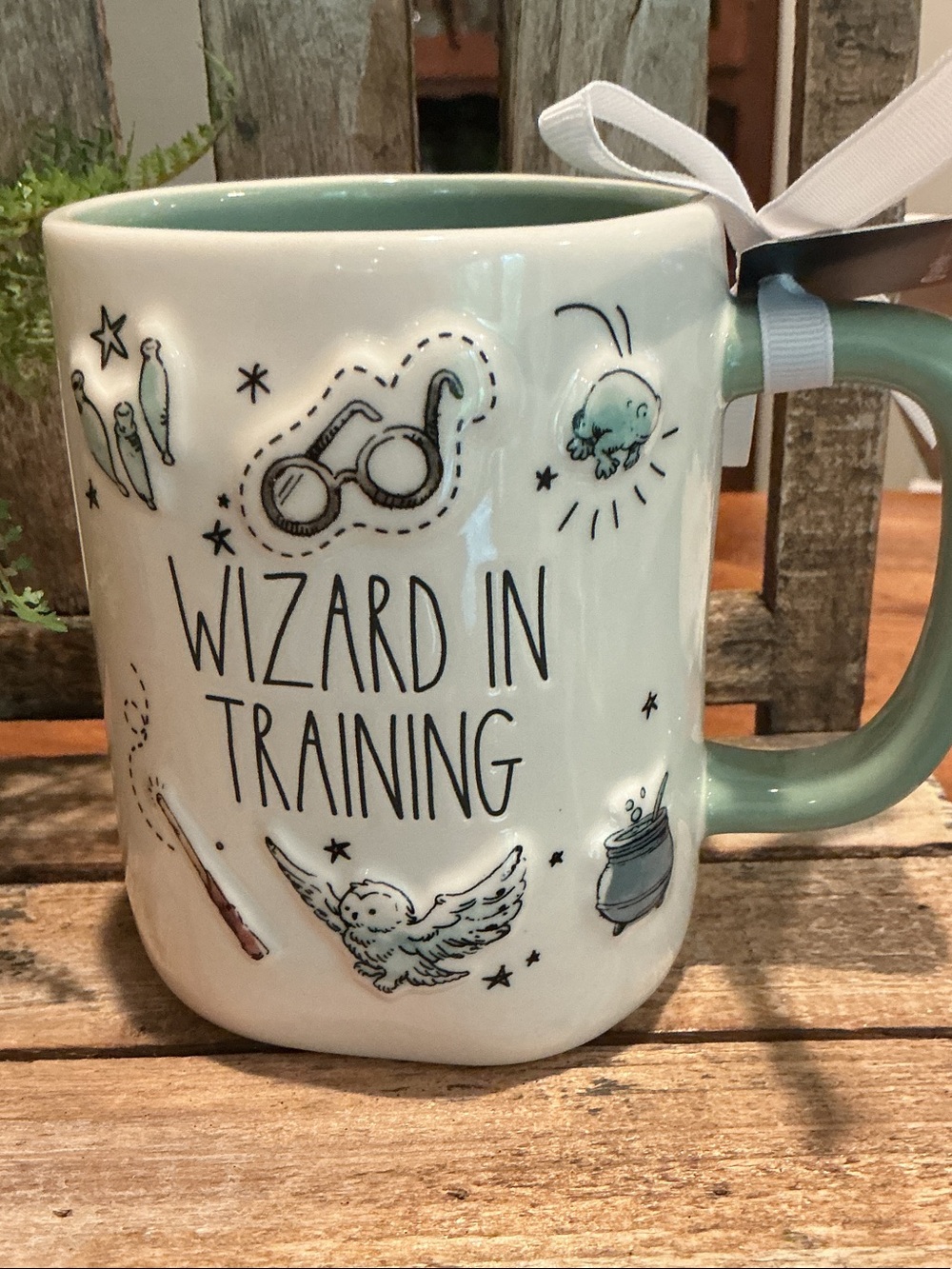 Harry Potter x Rae Dunn WIZARD IN TRAINING Mug